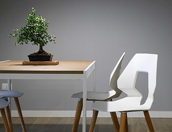 Prodotti a impatto zero per le pulizie Prodotti a impatto zero per le pulizie